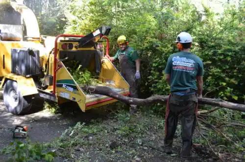 tree services Dodge City